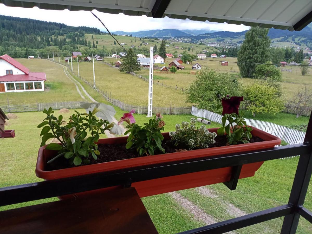 Casa Bucovina Dorna Candrenilor Ascutitele Zewnętrze zdjęcie