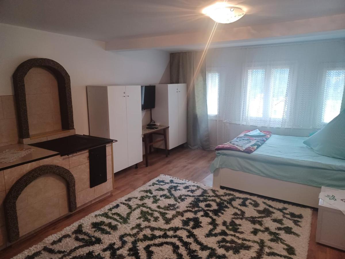 Casa Bucovina Dorna Candrenilor Ascutitele Zewnętrze zdjęcie